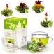 Creano ErblühTeelini theebloemen cadeauset met theeglas en 8 theebloemen in kopformaat, groene thee, cadeau