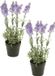 Plante artificielle lavande - 2x - lilas violet - 28 cm - en pot
