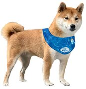 All For Paws Chill Out Dog Cooling Bandana Zomer Neck Wrap Ademend Halsdoek Huisdier Sjaal - Medium - 38-46 cm