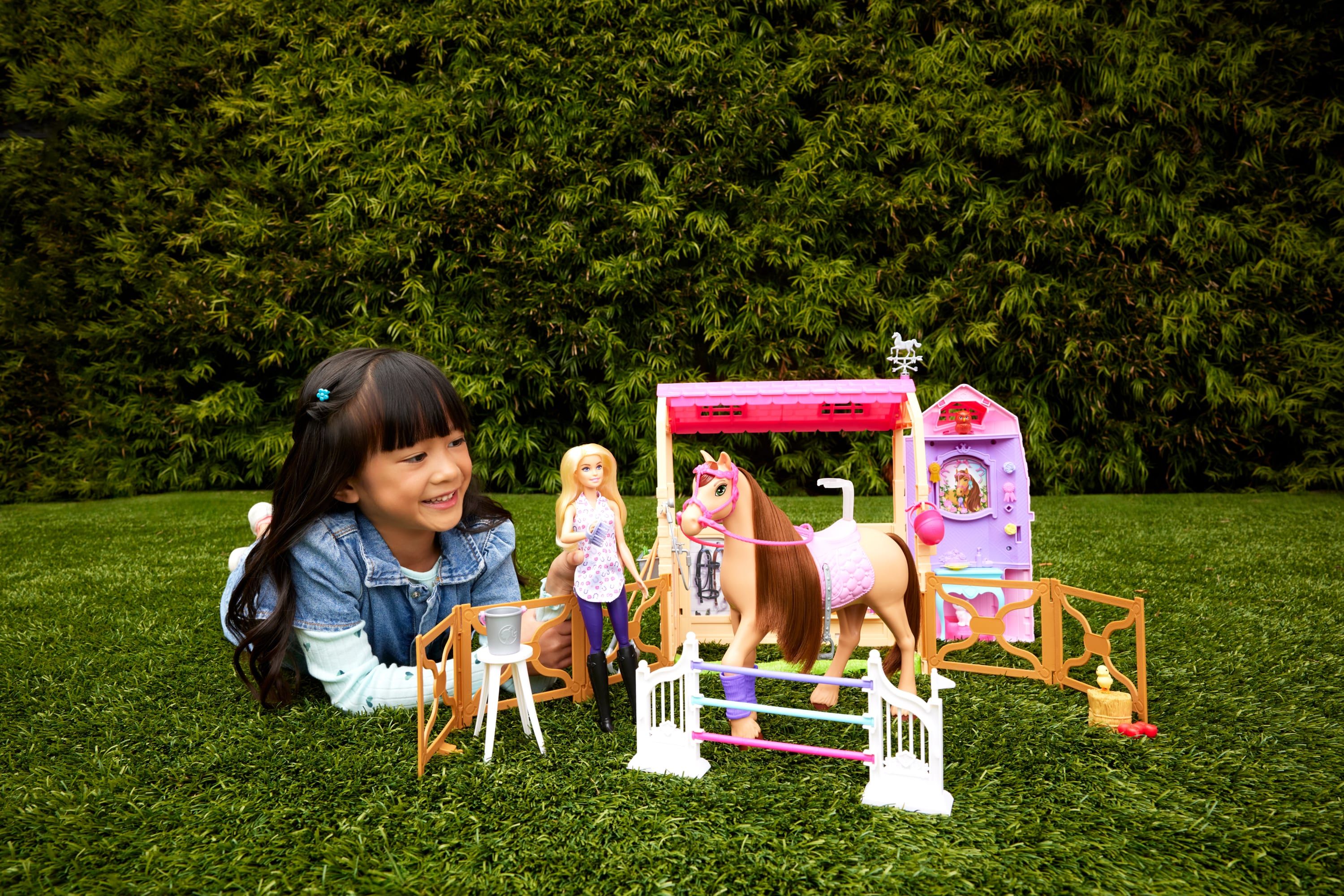 Barbie Mysteries The Great Horse Chase - Paard Droomstal Speelset