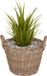 Mega Collections Planten/bloemen mand Levi - rotan - naturel - D39 x H25 cm - plantenpot voor buiten