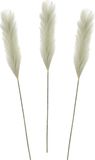 Mica Decorations Pluimgras losse steel/tak - 3x - salie groen - 104 cm - Decoratie kunst bloemen