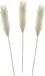 Mica Decorations Pluimgras losse steel/tak - 3x - salie groen - 104 cm - Decoratie kunst bloemen