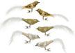 Decoris Kerst vogels - 6x st - op clip - goud - 8 cm - glas