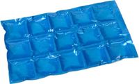 Ger Import Herbruikbare flexibele koelelementen - icepack/ijsklontjes - 15 x 24 cm - blauw