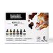 Liquitex Professional Acrylic Ink Set – Iridescents / Metallic Set – 6×30 ml