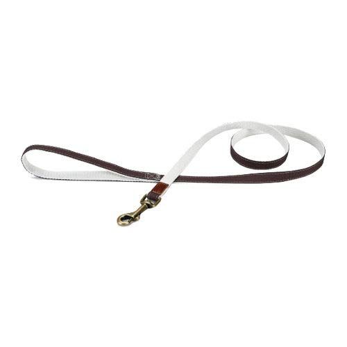 Beeztees Virante Hondenriem - 120cm x 15mm - Bruin