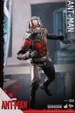 Hottoys Ant-Man Sixth Scale Figure