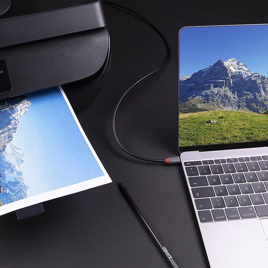LINDY USB-kabel USB 3.2 Gen1 USB-C naar USB-B 0.50 m Zwart