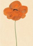 Paper Collective Amelie Hegardt - Orange Vallmo 50x70cm