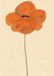 Paper Collective Amelie Hegardt - Orange Vallmo 50x70cm