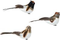 Oiseau mousse l5b13h6 cm a3