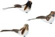Oiseau mousse l5b13h6 cm a3