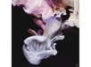 LABELS W Murmurations CD