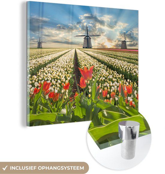 MuchoWow® Glass Painting 50x50cm - Acrylic Glass - Windmill - Tulips - Sky - Nature - Photo on Glass - Paintings