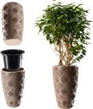 KADAX Bloempot met inzetstuk en handgrepen, plantenbak van kunststof, beige, hoogte: 58,5 cm