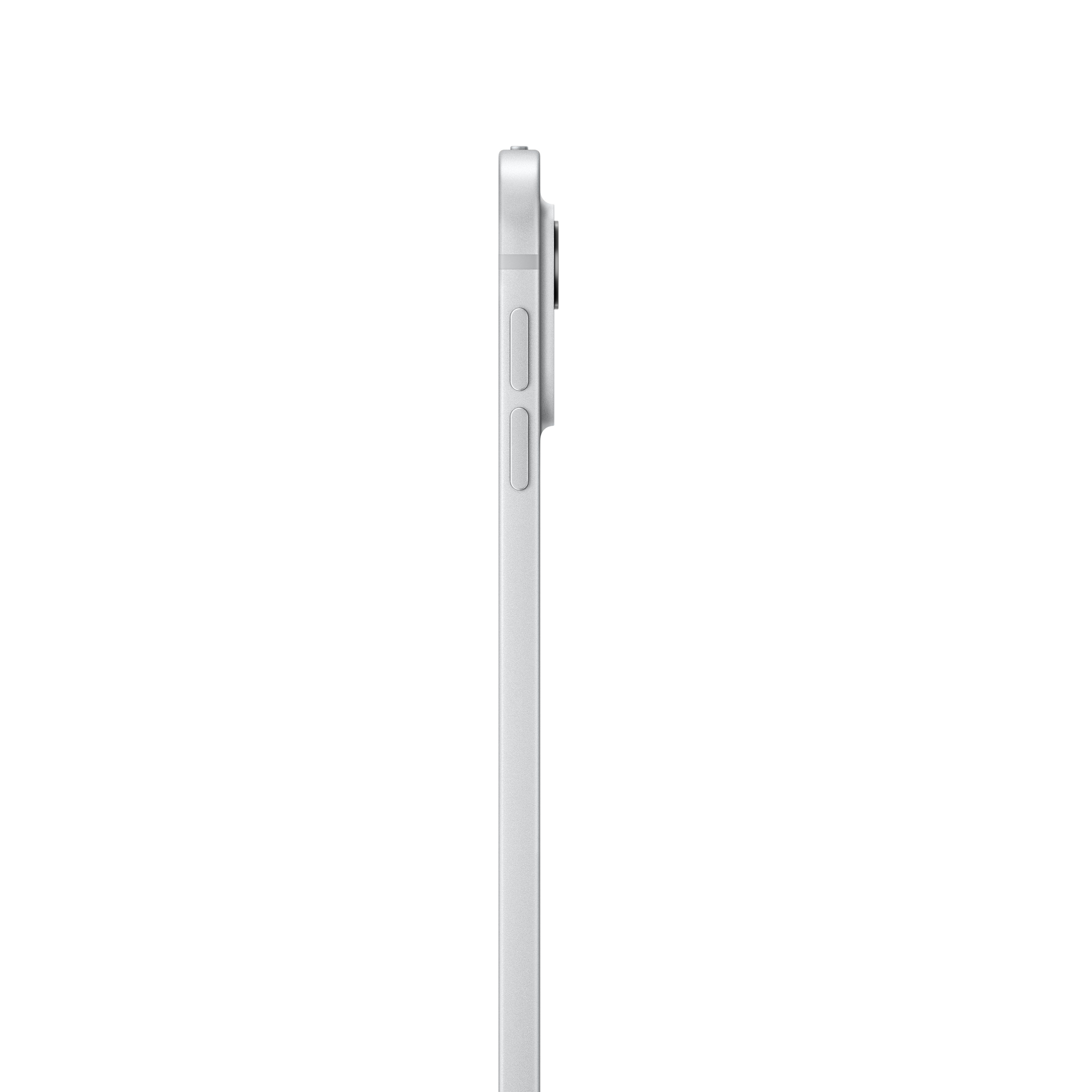 Apple iPad Pro / WiFi / 512 GB / Zilver