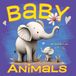 Baby Libri GmbH Animal Babies- Baby Animals