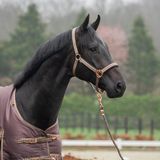 Horka Halsterset Deluxe Coffee/Rosegoud - Full