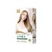 jenny house Premium Hair Color Set - 12 Colors #12AND Ash Nude Beige