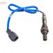 DENSO Sonde lambda DOX-0305