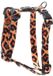 Rogz Fusion Tuig Leopard - Harnais pour chien - M
