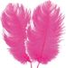 CHAKS Struisvogelveren/sierveren - 2x - fuchsia - 30-35 cm - decoratie/hobbymateriaal