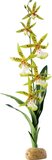 Exo Terra Rainforest Plant Spider Orchid - 58.5cm