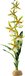 Exo Terra Rainforest Plant Spider Orchid - 58.5cm