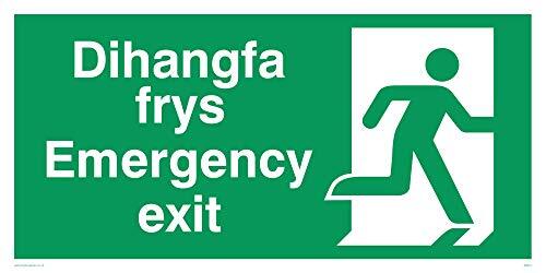 Viking Signs Viking Signs SB944-L42-3M Rechts "Dihangfa Frys/Emergency Exit" Sign, 3 mm Rigid Plastic, 200 mm H x 400 mm W