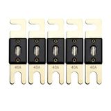 Offgridtec 40A 72V ANL zekering DIN43560/1 5-delige set