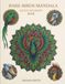 Rare birds mandala: Adult coloring book