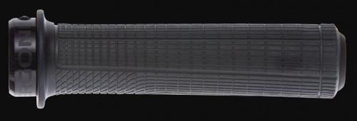 Ergon GD1 EVO Factory Frozen Stealth Handvat - 4260477069238