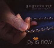 Music&Words Spirit Voyage Guruganesha Singh - Joy Is Now (CD)