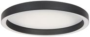 Steinhauer Ringlux Zwarte Plafondlamp 4135ZW Ø40CM 3600 Lumen LED Warm Wit Licht
