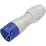 binder 99 9133 462 12 Ronde subminiatuurconnector Stekker, recht Totaal aantal polen: 12