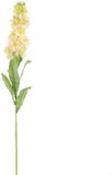 Pure Royal kunsttak stock flower 80cm vanille