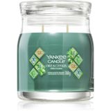Yankee Candle Olive & Cypress