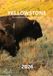 YELLOWSTONE 2026: The Majesty of America's Wild Frontier