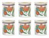 Excelsa Gipsy Soul Set van 6 waterGlazen – Veelkleurig – 25 cl – Boho Chic Stijl