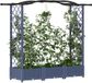 vidaXL Verhoogd bed met trellis en dak Grijs 169 x 40 x 123 cm PP