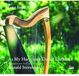 Proper S&D Consignment Prima Facie As My Harp Sang Out Of Darkness