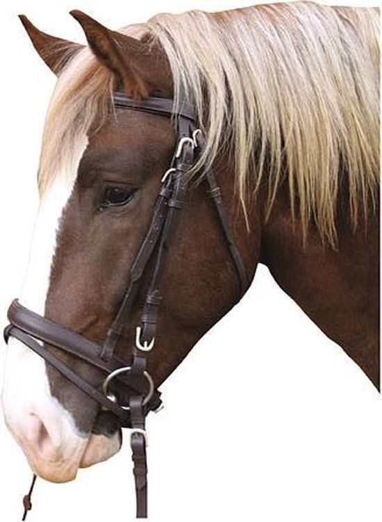 Kerbl Hoofdstel Koudbloed - Bruin