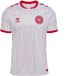 Hummel Buitenmaillot Denemarken Coupe du Monde 2026