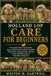 Holland Lop Care for Beginners