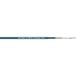 LAPP 2170284/1000 Netwerkkabel CAT 5e SF/UTP 2 x 2 x 0.12 mm² Blauw 1000 m