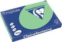Clairefontaine Trophée Pastel gekleurd papier A3 120 g natuurgroen 250 vel