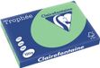 Clairefontaine Trophée Pastel gekleurd papier A3 120 g natuurgroen 250 vel