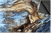 Dietrix Inductie Beschermer 78x52 - Hout en Boom - Schors blauw grijs - Afdekplaat voor Inductie Kookplaat
