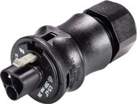 Wieland RST Klassieke Stekker 20A 250V Mannelijk - Zwart